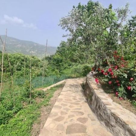 Gest House Felau Hotel Përmet Екстериор снимка